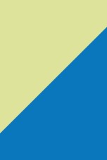 Bleu Fonc,Vert Citron