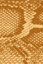Estampado de Serpiente