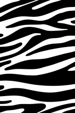 Zebra Pattern