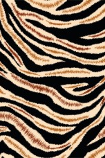 Padro Zebra 2