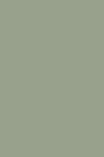Verde Seco