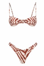 Brown Zebra Pattern
