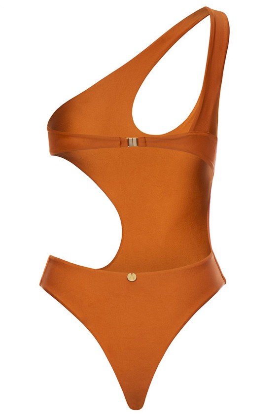 Swimsuit Ambition